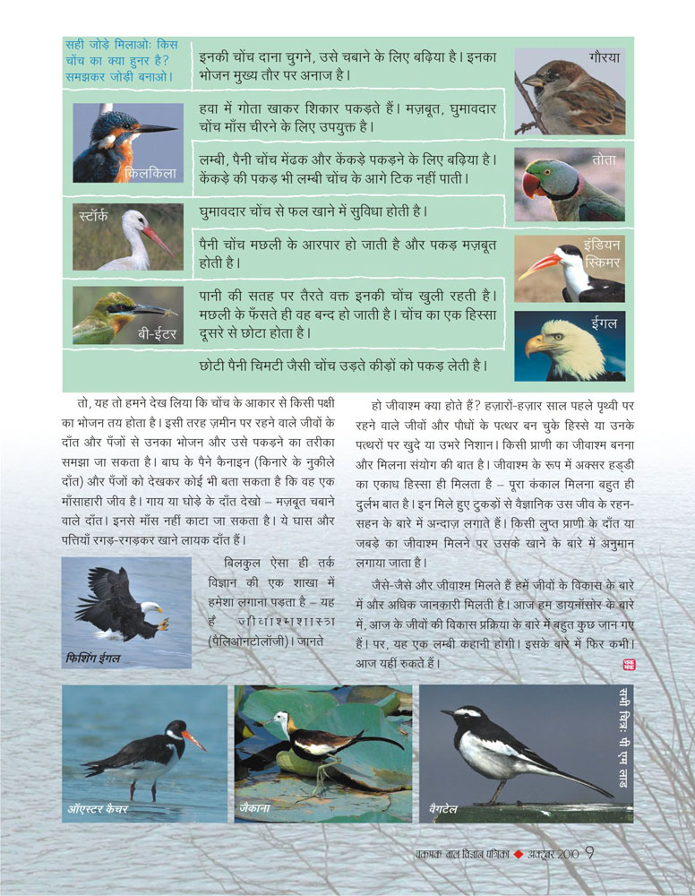19_birds_biodiversity