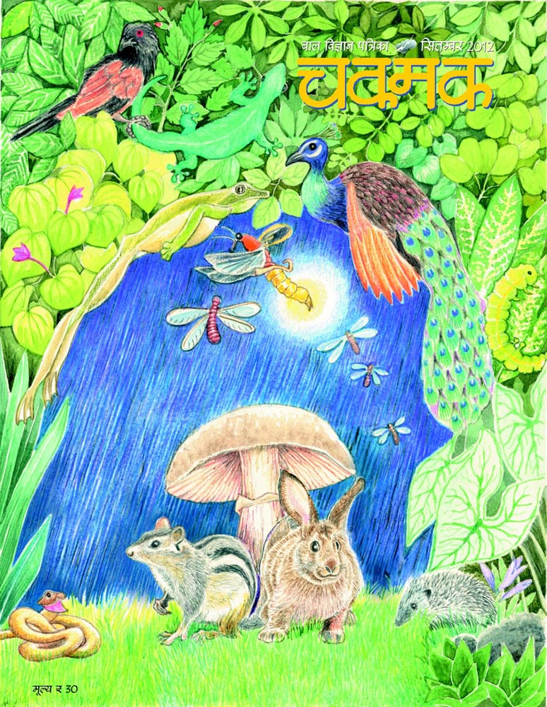 10_Cover