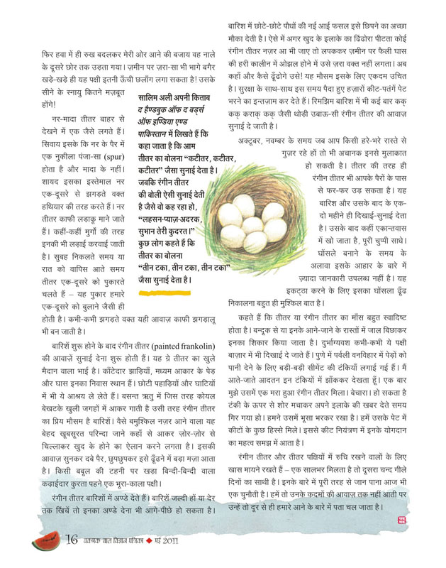 25_Bache_rahe_teetar
